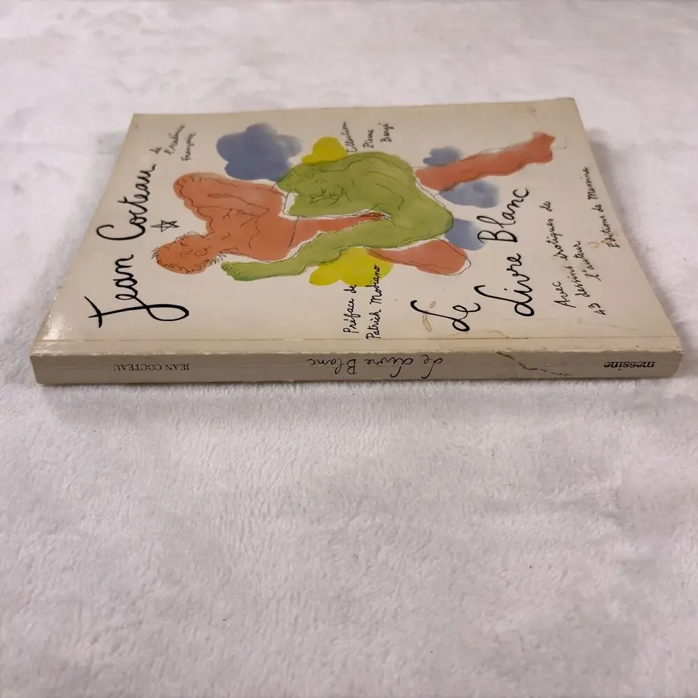 Jean Cocteau Le Livre Blanc 43 Erotic Drawings French Messine Used Rare!